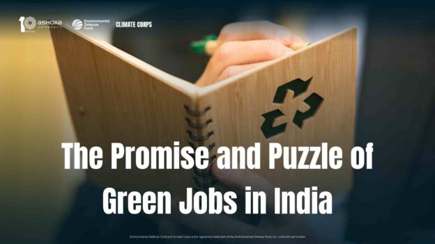 The Promise and Puzzle of Green Jobs in India