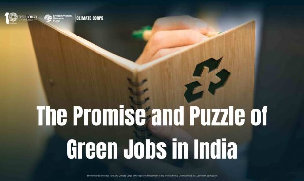 The Promise and Puzzle of Green Jobs in India
