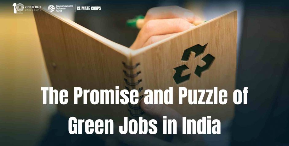 The Promise and Puzzle of Green Jobs in India